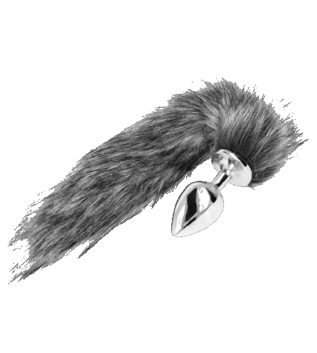 Plug Lince