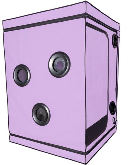 Cabina Morada