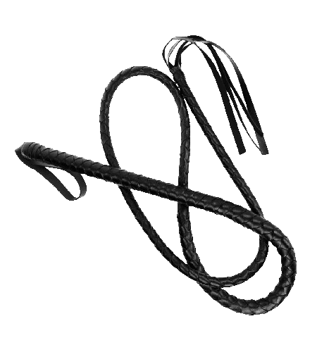Látigo Serpiente Largo
