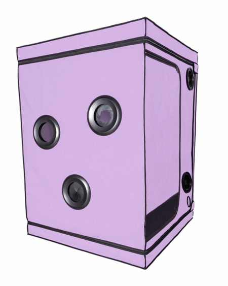 Cabina Morada