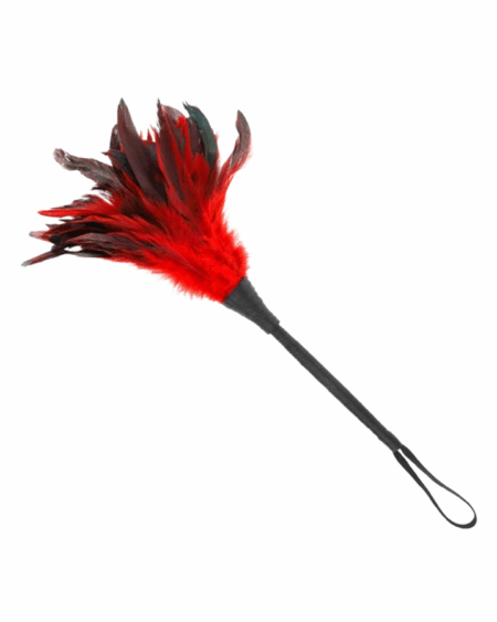 Plumas de Pollo para Cosquillas