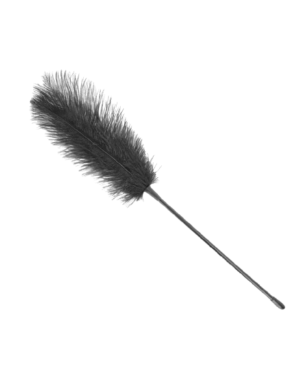 Plumas de Avestruz para Cosquillas